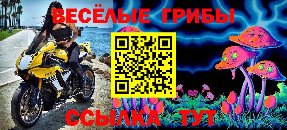 Псилоцибиновые грибы мицелий Рузаевка